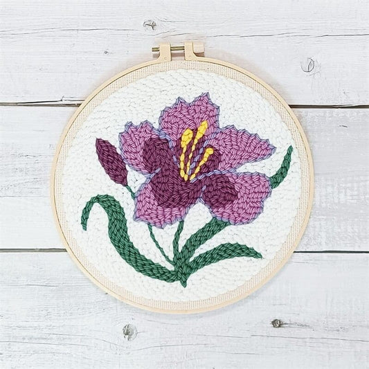 DIY Punch Needle Embroidery Kit For Starter with Stamped Color Pattern  Instruction Yarn Craft Set For Wall Hanging Paintings